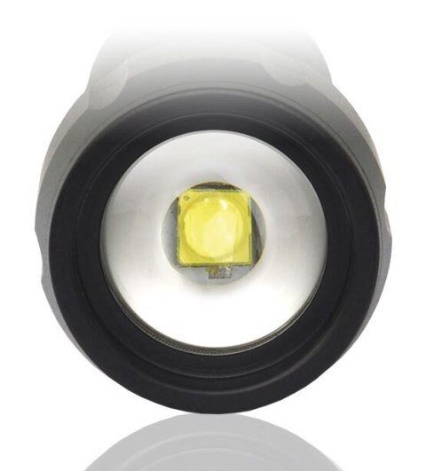 Latarka led EVERACTIVE FL-300+ czarna 350lm