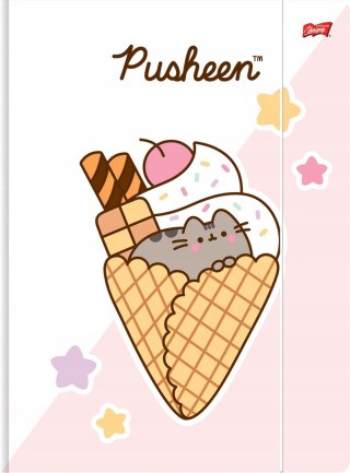 Teczka z gumką A4 300g. PUSHEEN mkmo St.Majewski