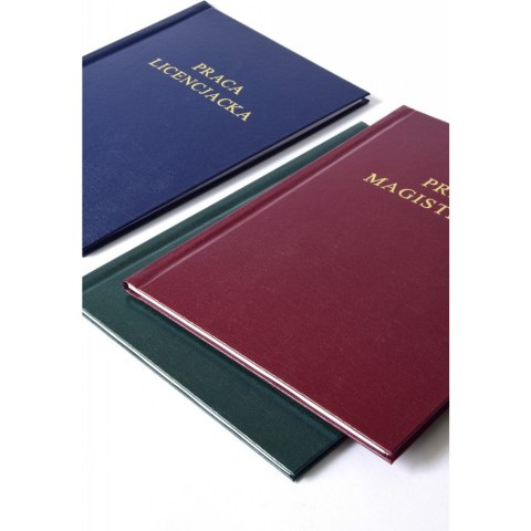 Okładka kanał.AA PRACA MAGISTERSKA bordo (10 ) ARGO 437017