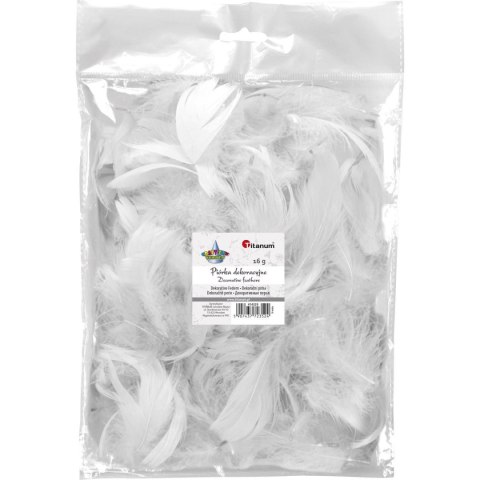 Piórka Craft-Fun Series białe 414329 TITANUM