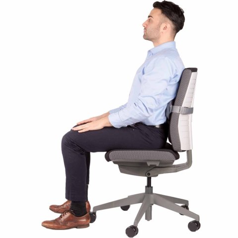 Podpórka pod plecy I-SPIRE 8042201 FELLOWES