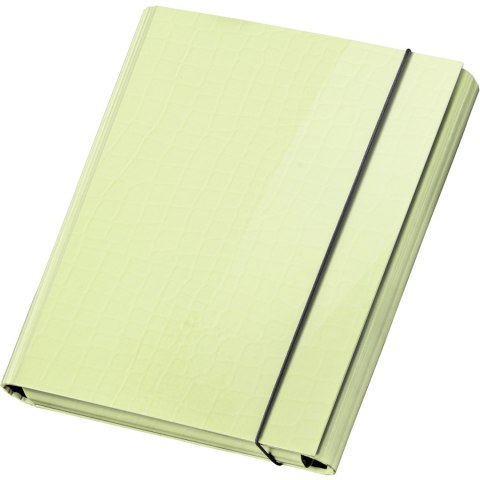 Teczka skrzydłowa z gumką PasteLove pastelowy limonka P/310/31 VAUPE