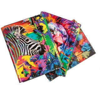 Teczka skrzydłowa z gumką ZEBRA 4cm kolekcja AFRYKA 310/97 VAUPE