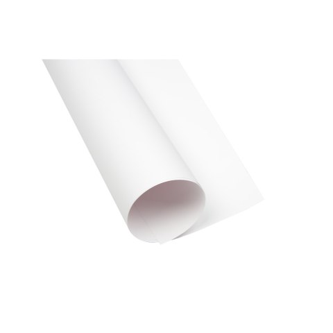 Blok karton kolorowy CREATINIO A1 250g 25 arkuszy biały 400173613 TOP 2000