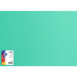 Blok karton kolorowy CREATINIO B1 225g 25 arkuszy nr.64 seledynowy 400150265 TOP 2000