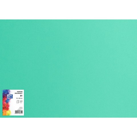 Blok karton kolorowy CREATINIO B1 225g 25 arkuszy nr.64 seledynowy 400150265 TOP 2000