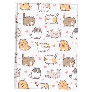 Notes A6 z nadrukiem KITTENS NNO-20-35 BIURFOL