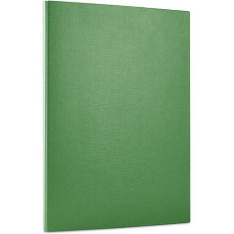 Teczka skrzydłowa A4 na rzep zielona 2072001PL-06 DONAU