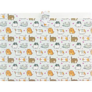 Teczka harmonijkowa A4 PP 5 przegródek z nadrukiem KITTENS THN-A4-35 BIURFOL