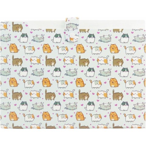 Teczka harmonijkowa A4 PP 5 przegródek z nadrukiem KITTENS THN-A4-35 BIURFOL
