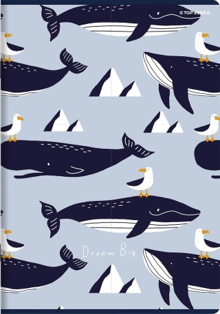 Zeszyt A4 32k 3linia kolorowa MEGAMIX 400182029 TOP 2000