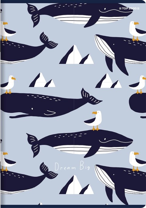 Zeszyt A4 32k 3linia kolorowa MEGAMIX 400182029 TOP 2000