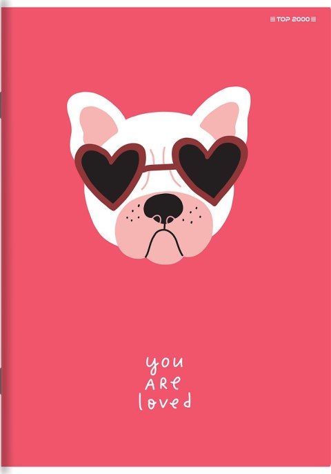 Zeszyt A4 32k 3linia kolorowa MEGAMIX 400182029 TOP 2000