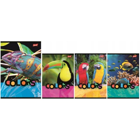 Zeszyt A5 32k kratka laminowany EXOTIC COLORS UNIPAP