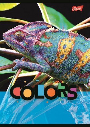 Zeszyt A5 32k kratka laminowany EXOTIC COLORS UNIPAP