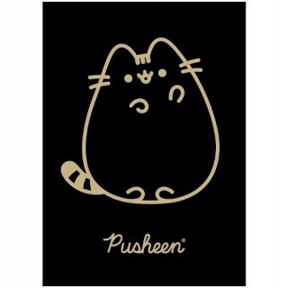 Zeszyt szkolny A5 60 kartek w kratkę laminowany PUSHEEN ST.MAJEWSKI