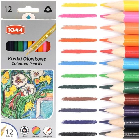 Kredki ołówkowe trójkątne 12 kolorów TO-544 TOMA