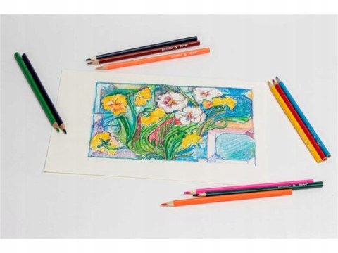 Kredki ołówkowe trójkątne 12 kolorów TO-544 TOMA