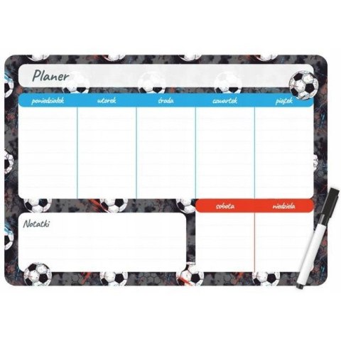 Planer magnetyczny na lodówkę Plan lekcji 35x25cm tygodniowy + marker PM-02-02 BIURFOL