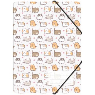 Teczka z gumką A4 PP z nadrukiem KITTENS TGN-A4-35 BIURFOL