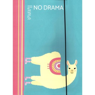 Teczka z gumką LAMA turkusowa kolekcja NO PROBlama 302/96 VAUPE