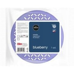 Wkład do pisuaru bez włosków BLUEBERRY AROMA PROFESSIONAL