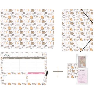 Zestaw szkolny z nadrukiem KITTENS KPL-NADRUK-01-35 BIURFOL