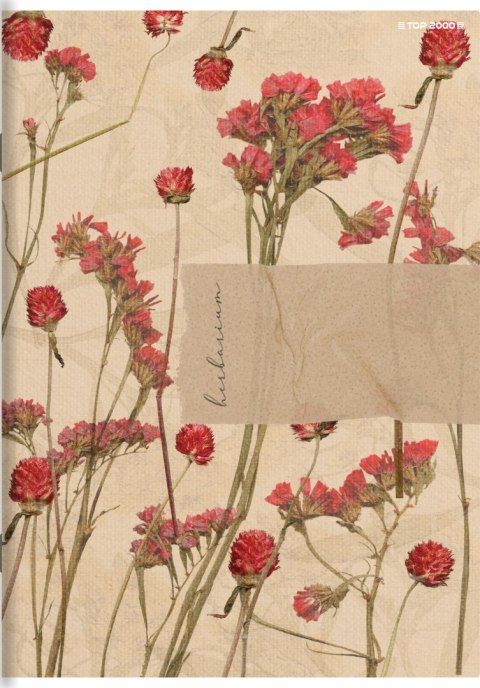 Zeszyt A4 80k kratka margines MEGAMIX 400183670 TOP 2000