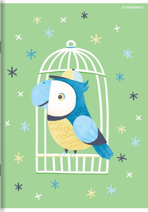 Zeszyt A5 16k kratka MEGAMIX 400181755 TOP 2000