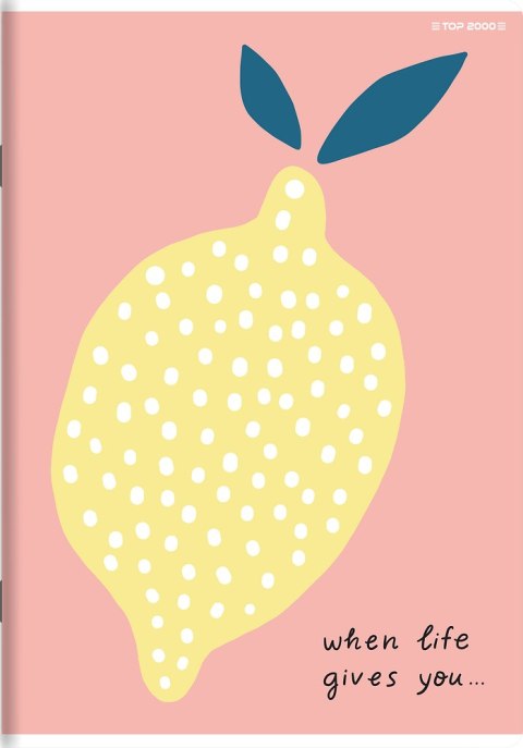 Zeszyt A5 16k kratka MEGAMIX 400181755 TOP 2000