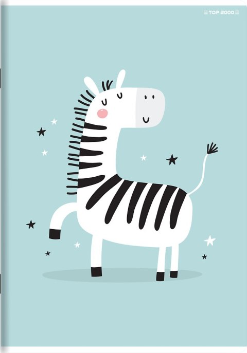 Zeszyt A5 16k kratka MEGAMIX 400181755 TOP 2000