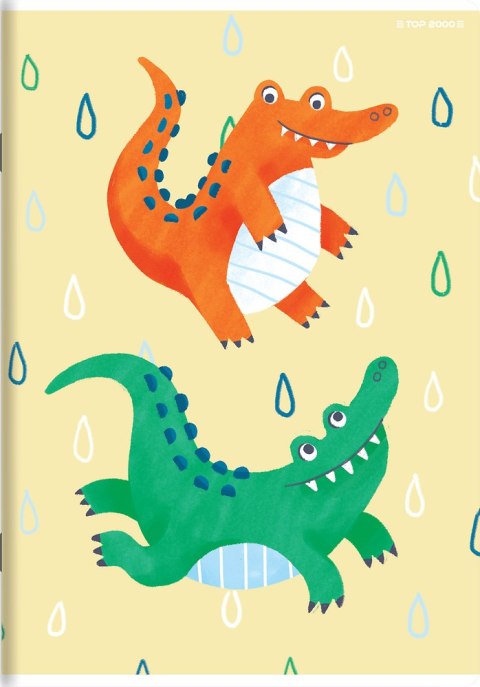 Zeszyt A5 16k kratka MEGAMIX 400181755 TOP 2000