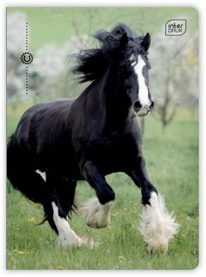 Zeszyt A5 32k 3-linia UV mix INTERDRUK