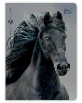 Zeszyt A5 32k linia UV mix wzorów INTERDRUK