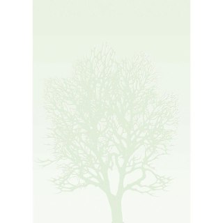 Arkusze barwne A4 DRZEWO 100g. (50ark. ) 230410 Galeria Papieru