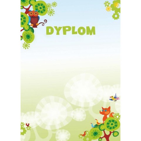 Dyplom A4 BAJKA 170g (25ark) 211217 GALERIA PAPIERU