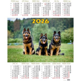 Kalendarz jednoplanszowy P11 PSY BESKIDY