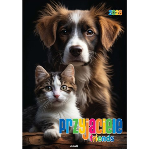 Kalendarz ścienny mały PRZYJACIELE KSM-S-7 AVANTI