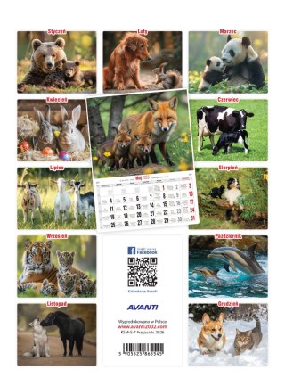 Kalendarz ścienny mały PRZYJACIELE KSM-S-7 AVANTI
