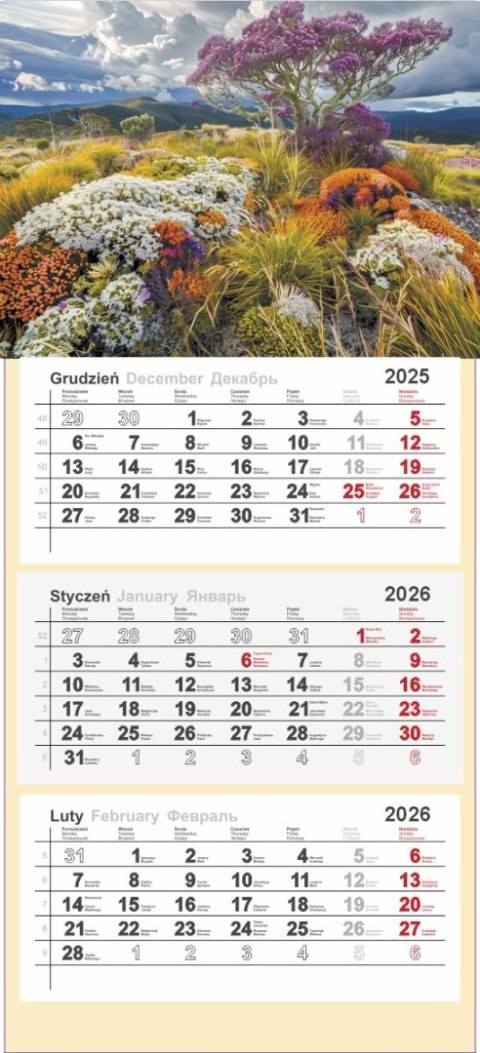 Kalendarz trójdzielny 2026 0905-99 Panta Plast
