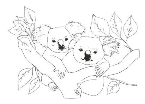 Kolorowanki A4, galeria 2 GAL-002