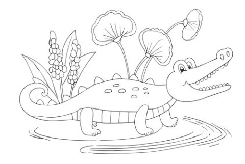 Kolorowanki B5, galeria 4 GAL-102