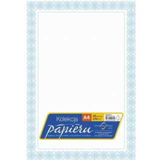 Dyplom certyfikat 170g (25 arkuszy) DZ250-1 MICHALCZYK I PROKOP