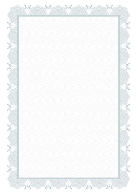 Dyplom certyfikat 170g (25 arkuszy) DZ251-1 MICHALCZYK I PROKOP