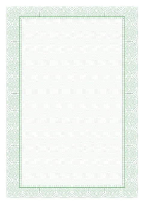 Dyplom certyfikat 170g (25 arkuszy) DZ253-1 MICHALCZYK I PROKOP