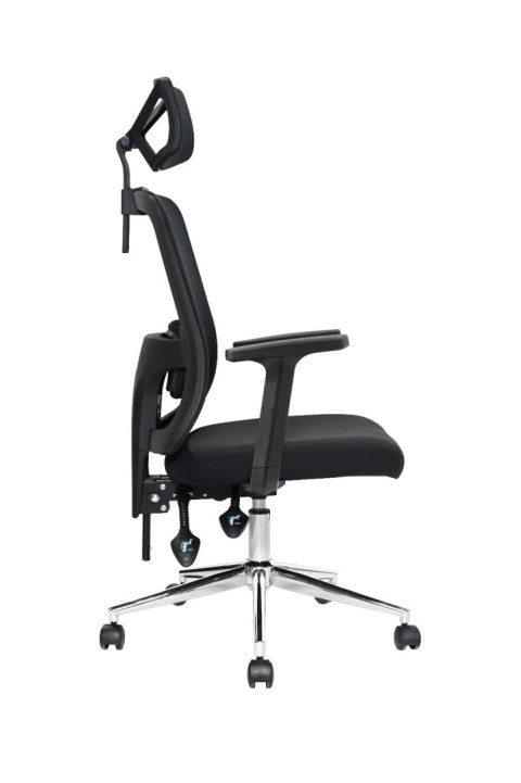 Fotel biurowy obrotowy ergonomiczny OTIS TS INTERIOR