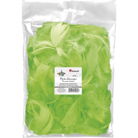 Piórka Craft-Fun Series limonka 414326 TITANUM