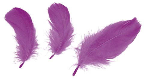 Piórka Craft-Fun Series różowe 414327 TITANUM