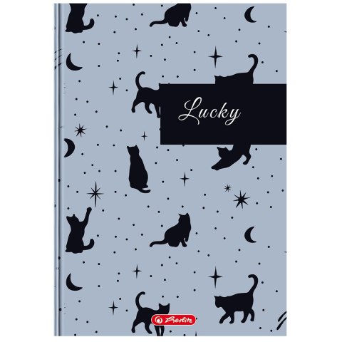 Brulion A4 96k linia z marginesem mix okładek 400207787 HERLITZ