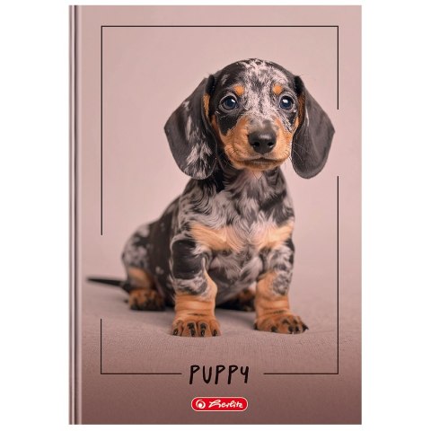 Brulion A4 96k linia z marginesem mix okładek 400207787 HERLITZ